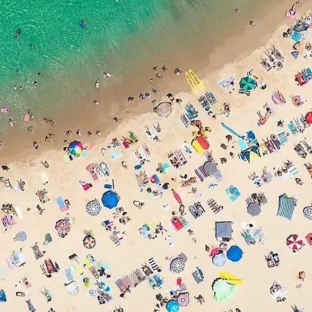 Suzy's Nest Homestay