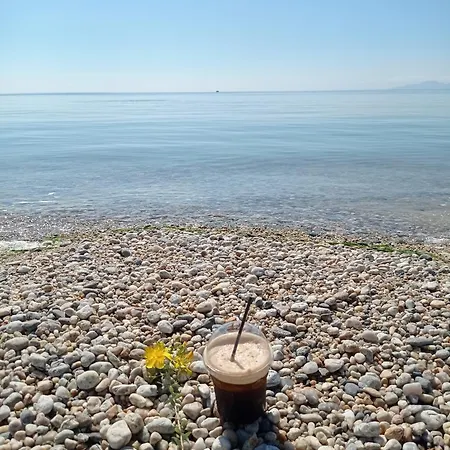 Suzy's Nest Homestay *