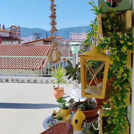 Suzy's Nest Homestay Asprovalta