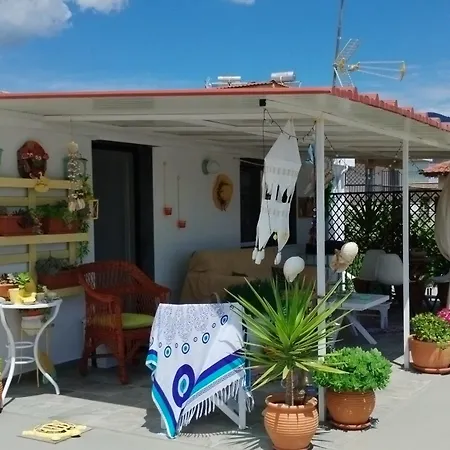 Suzy's Nest Homestay *