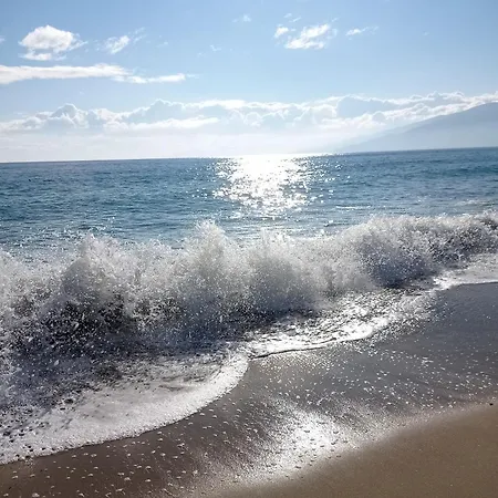 Suzy's Nest Asprovalta