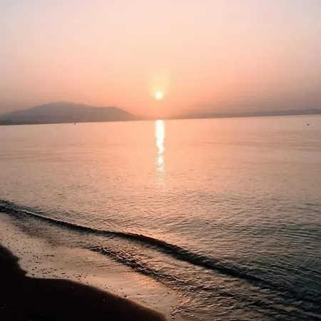 Homestay Suzy's Nest