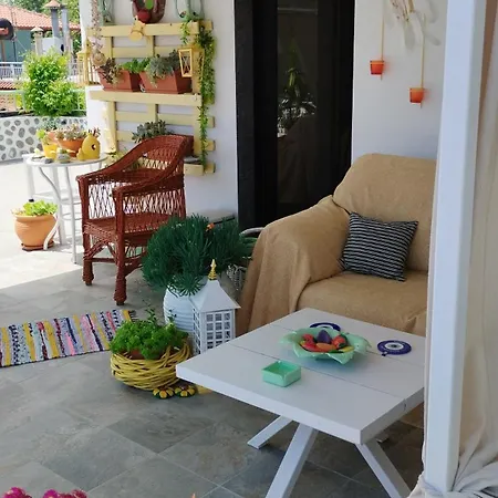 Homestay Suzy's Nest *