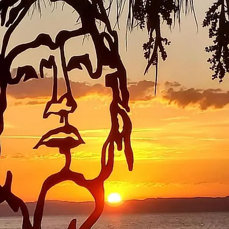 Suzy's Nest Homestay