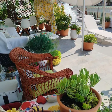 Suzy's Nest Homestay *