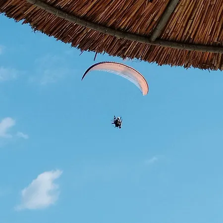 Suzy's Nest * Asprovalta