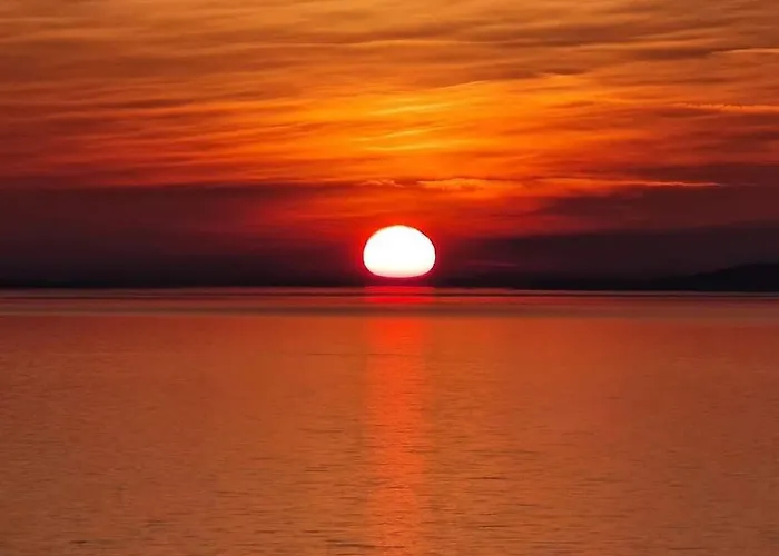 Suzy's Nest * Asprovalta