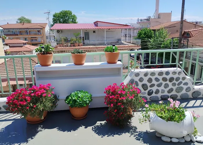 Suzy's Nest Asprovalta