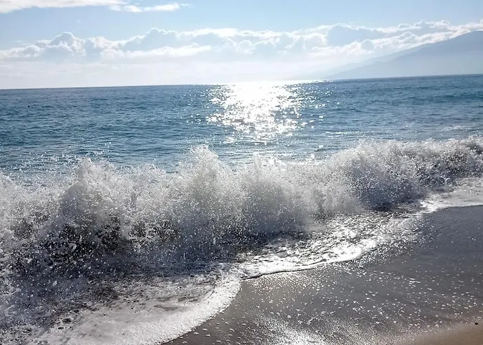 Suzy's Nest Asprovalta