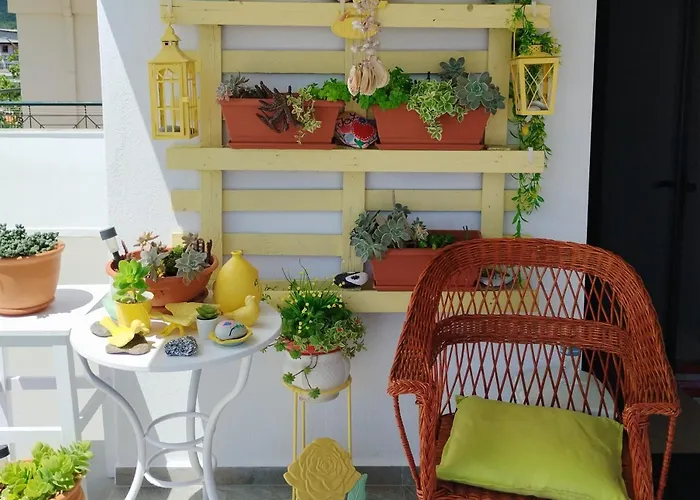 Suzy's Nest Asprovalta