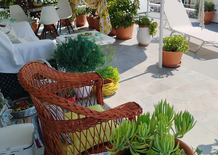 Suzy's Nest Quarto em Acomodações Particulares *