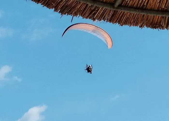 Suzy's Nest * Asprovalta