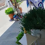 Suzy's Nest