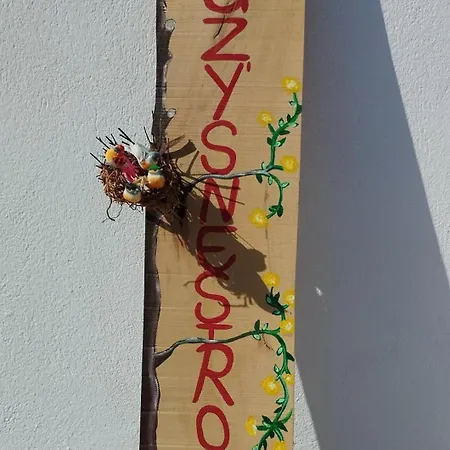 Suzy's Nest אספרובלטה