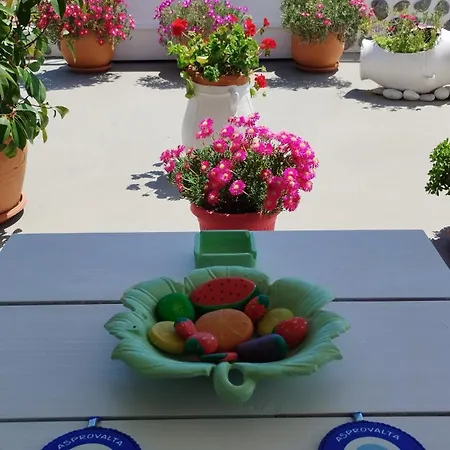 Suzy's Nest أسبروبالتا