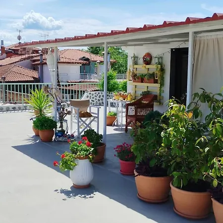 Suzy's Nest منزل للإقامة