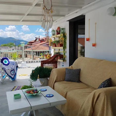 Suzy's Nest *