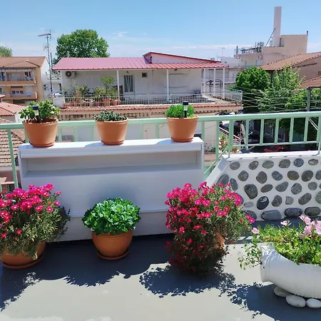 Suzy's Nest أسبروبالتا