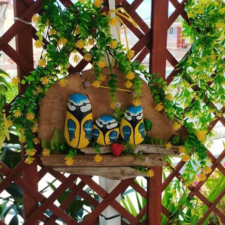 Suzy's Nest * أسبروبالتا