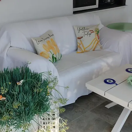 Suzy's Nest בית אירוח *