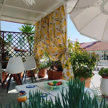 Suzy's Nest أسبروبالتا