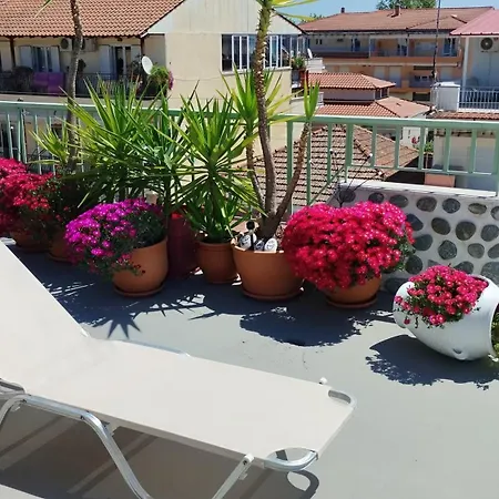 Suzy's Nest Homestay