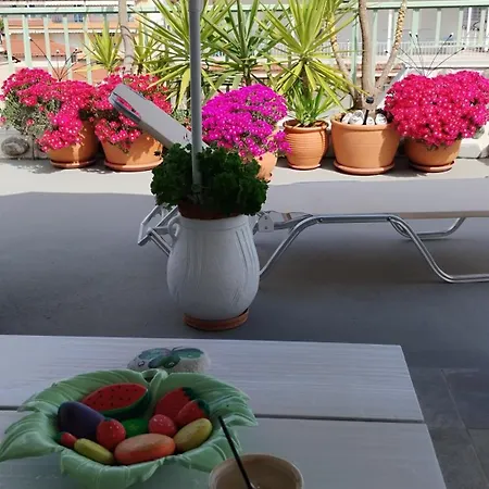 Homestay Suzy's Nest