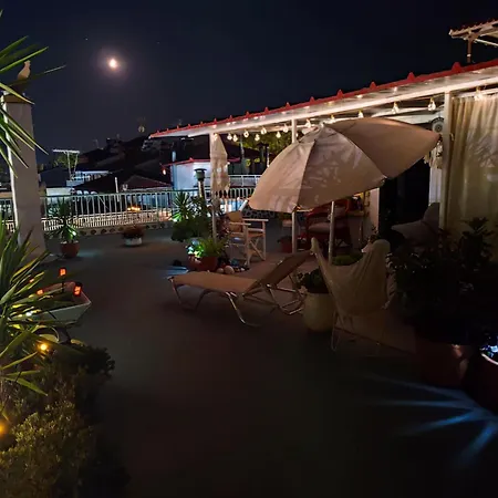 Suzy's Nest *