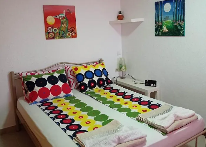 Suzy's Nest