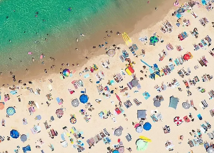 Suzy's Nest 홈스테이