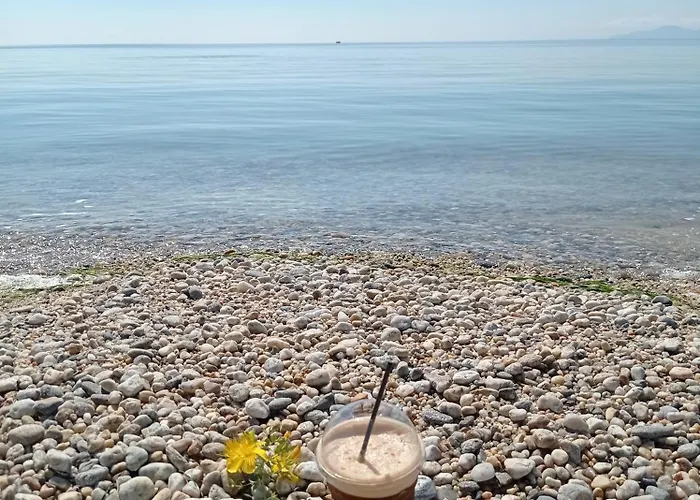 Suzy's Nest Δωμάτια σε οικογενειακή κατοικία *