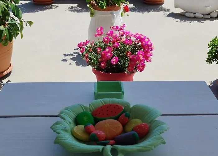 Suzy's Nest Ασπροβάλτα