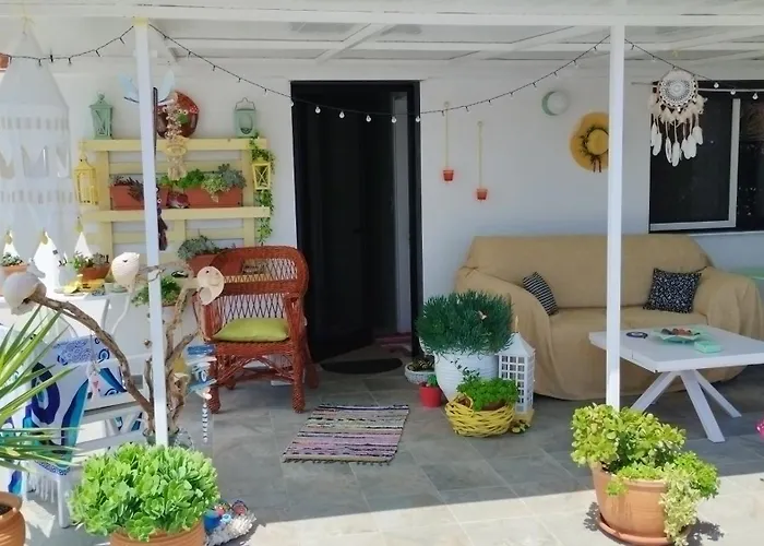 홈스테이 Suzy's Nest *