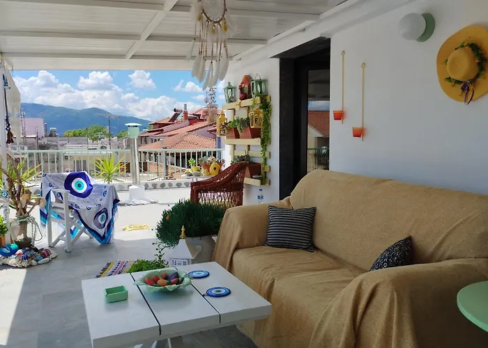 Suzy's Nest *