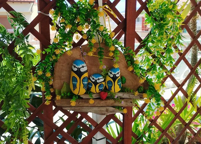 Suzy's Nest * Ασπροβάλτα