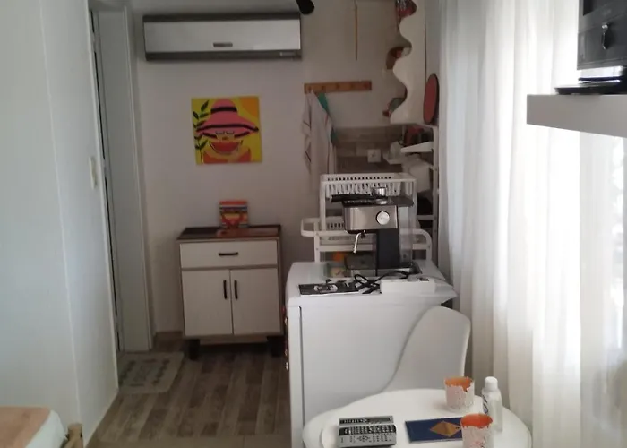 Suzy's Nest