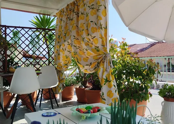 Suzy's Nest Ασπροβάλτα