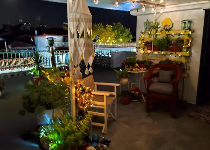 Suzy's Nest